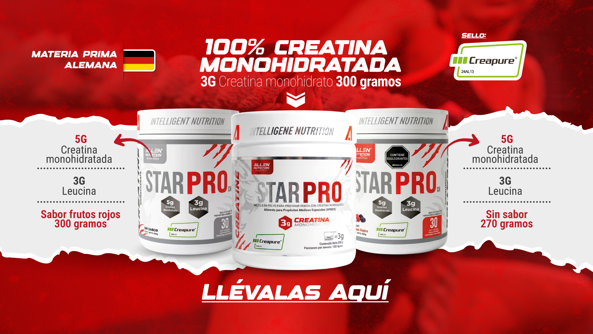 creatinas allen